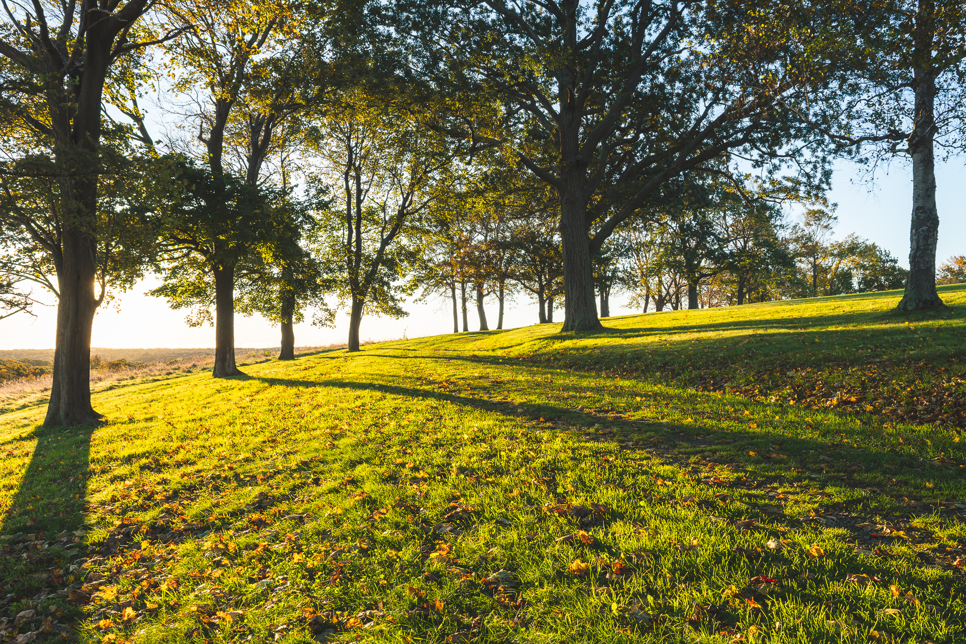 Early Morning Rays at World’s End