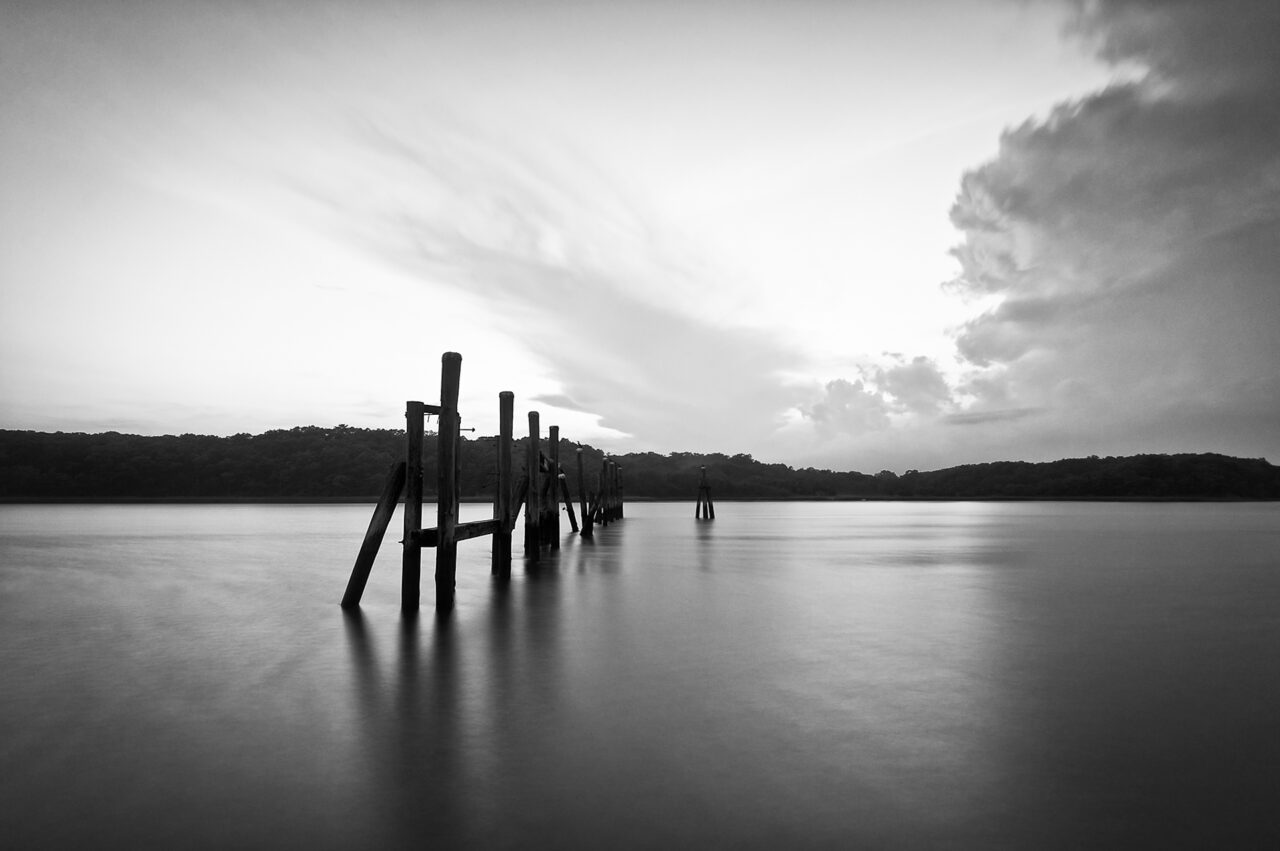 Old dock pilings in ocean.