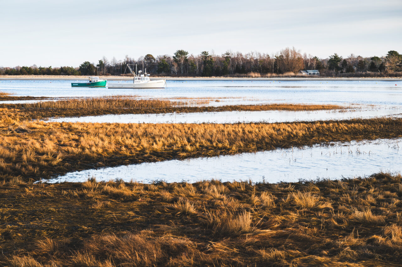 Boats and a marsh