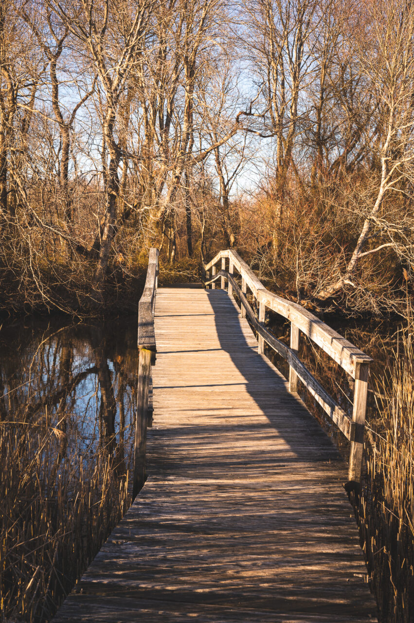 A bridge leading to a trail at Daniel Webster Wildlife Sanctuary.