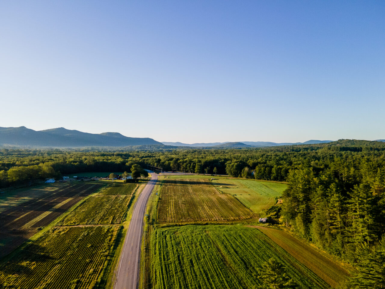 Green farmland in the state of New Hampshire.