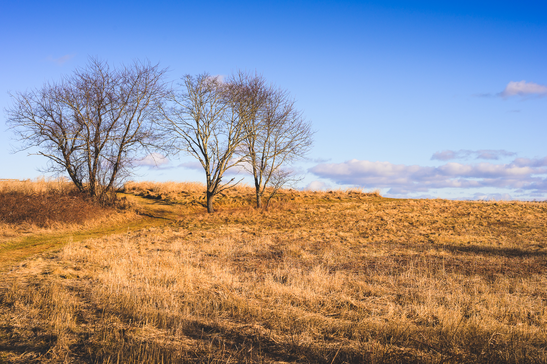 Daniel Webster Wildlife Sanctuary: A Sunny Day Stroll