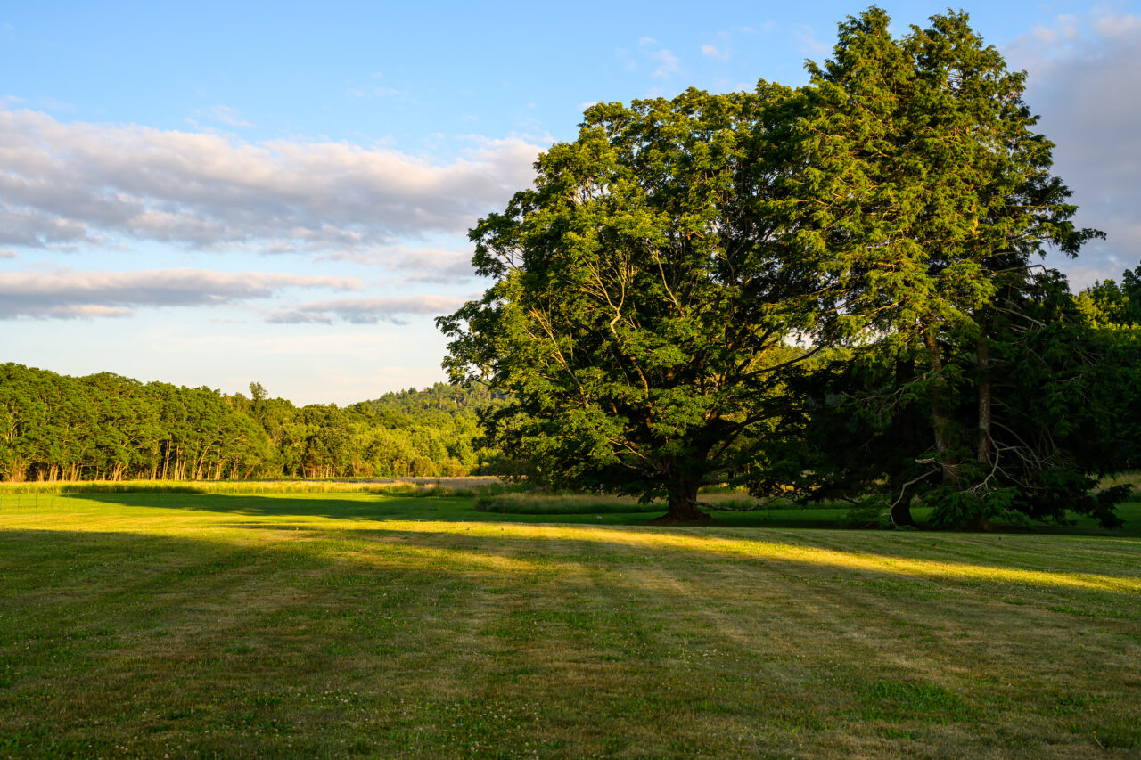 A view of the beautiful landscape surrounding the Eustis Estate Museum.