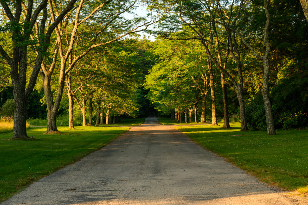 The main entrance that leads to the heart of the Eustis Estate Museum.