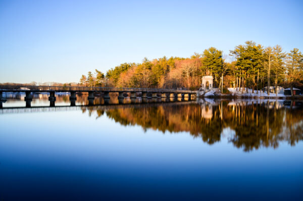 Reflecting trees at Island Grove Pond.