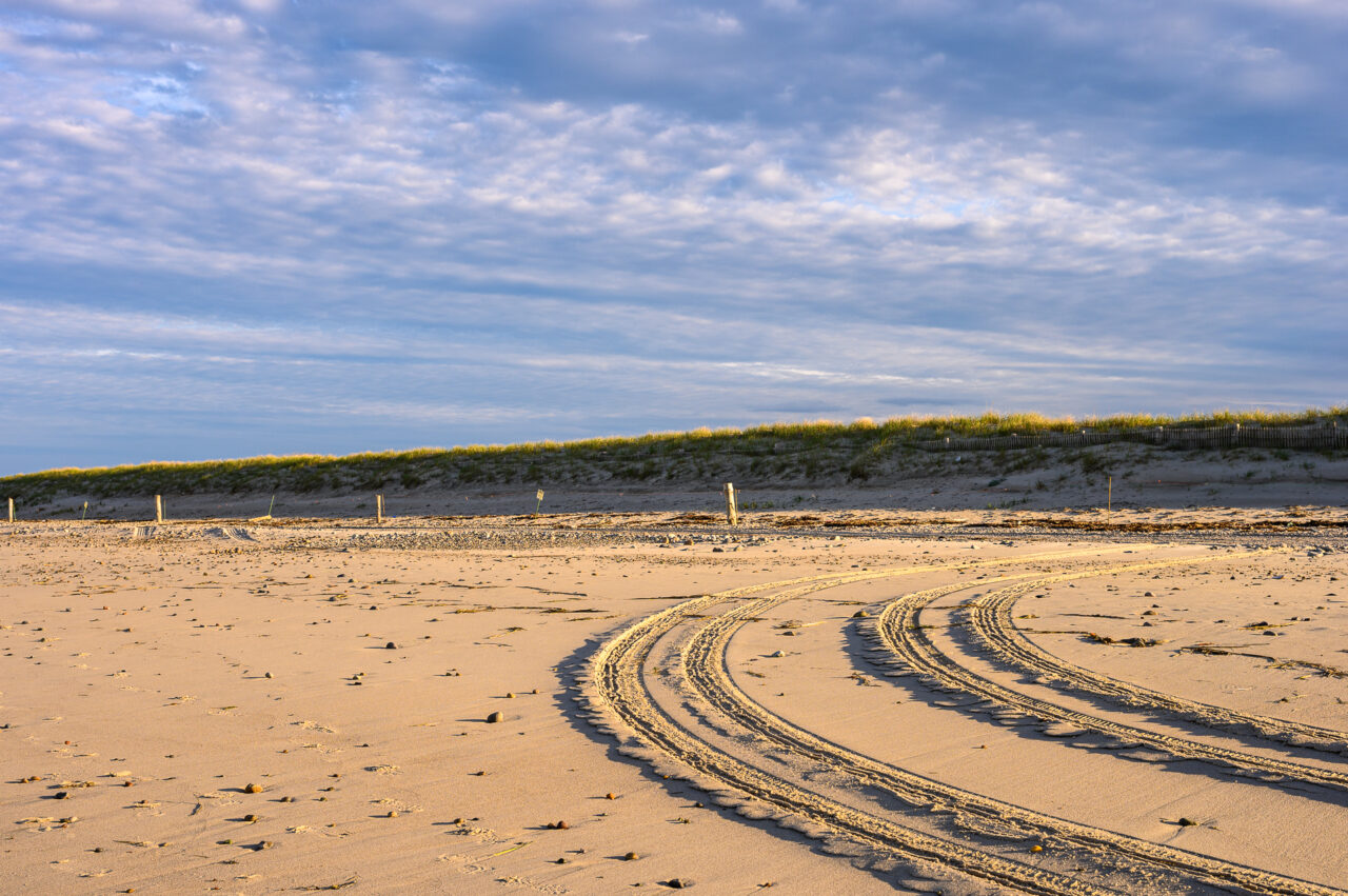 Tire tracks in the sand at Duxbury Beach.