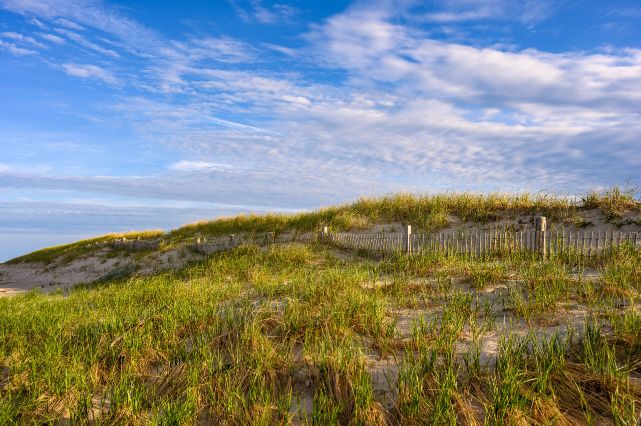 A view of Duxbury Beach with soft grass in the foreground and a fence leading toward the soft hues in the sky.