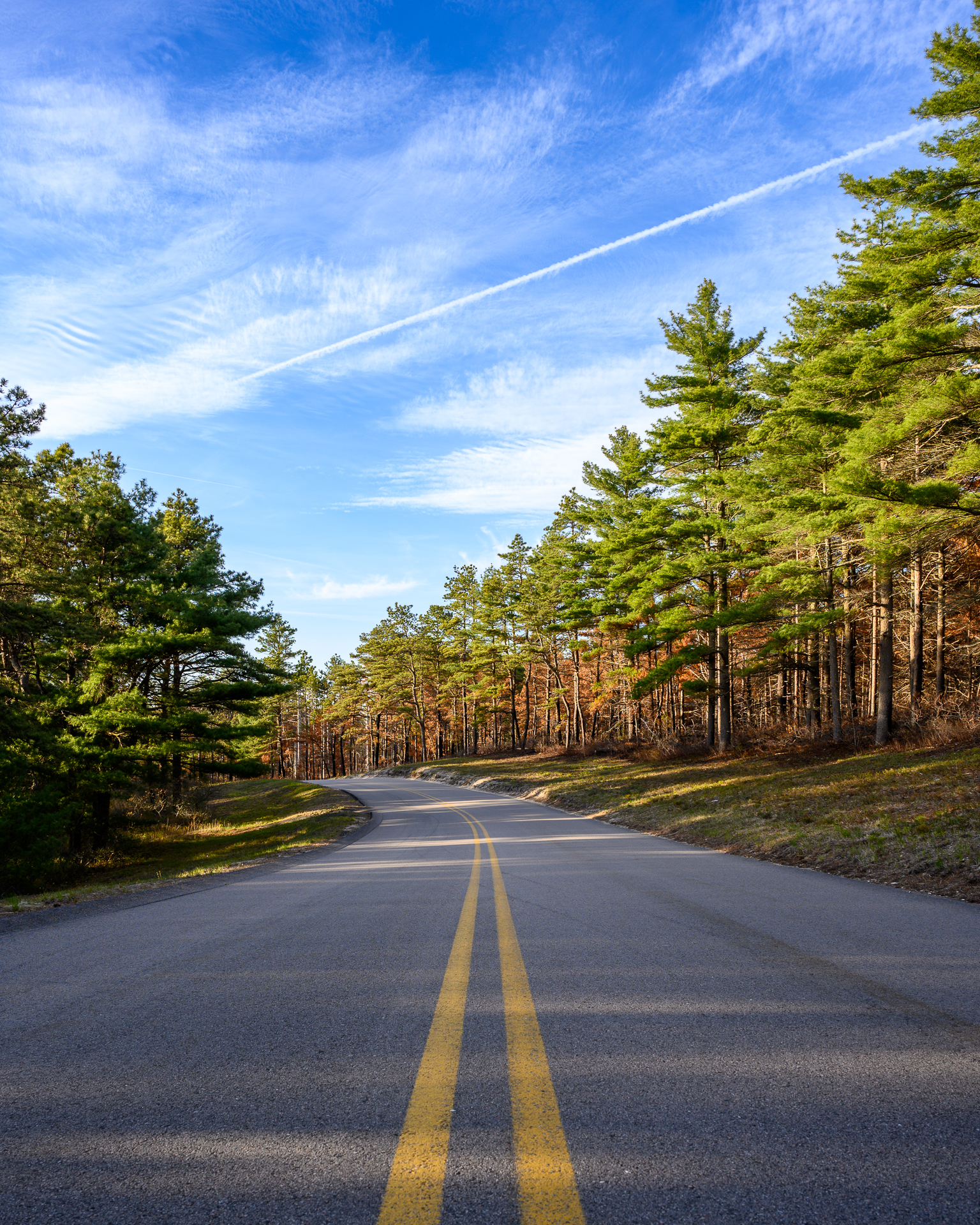 The beautiful and scenic Upper College Pond Road at Myles Standish State Forest in Carver, MA.