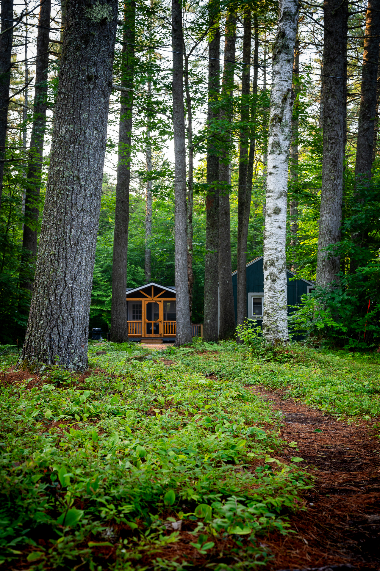 A path leading to a cabin in the woods.