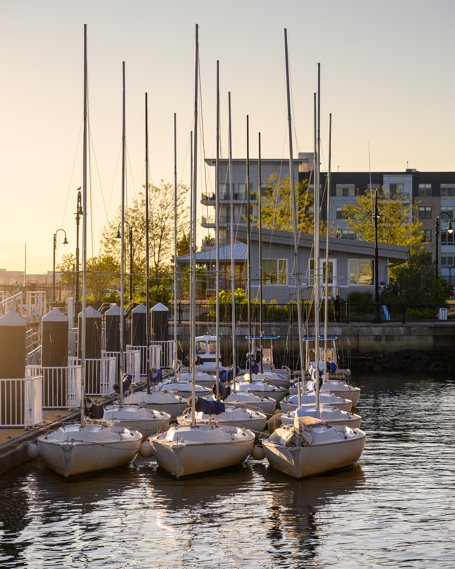 Sailboats docked at Boston Harbor's Piers Park.