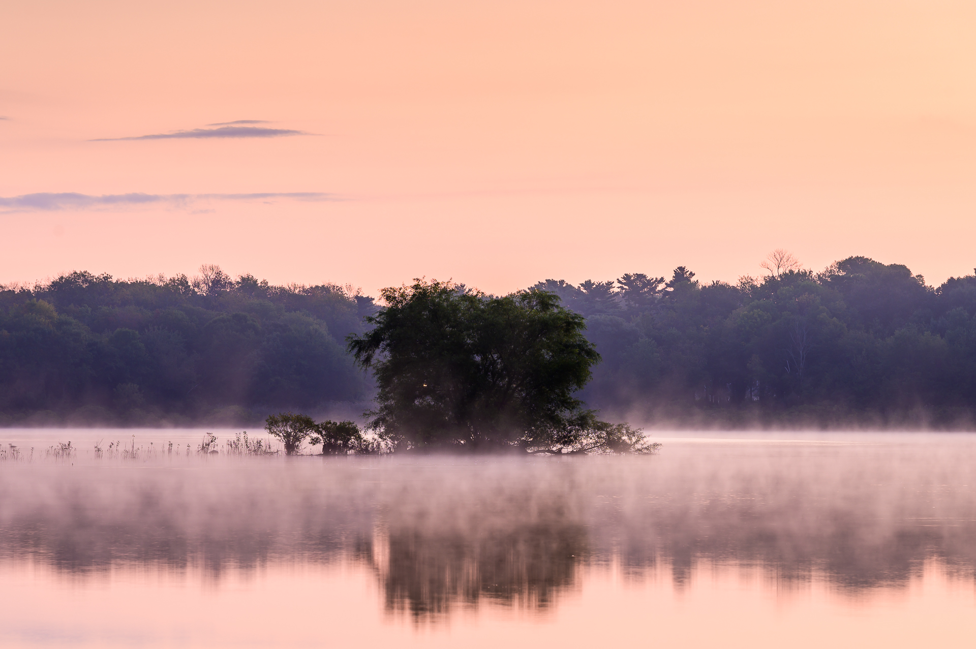 Morning mist over a pond.