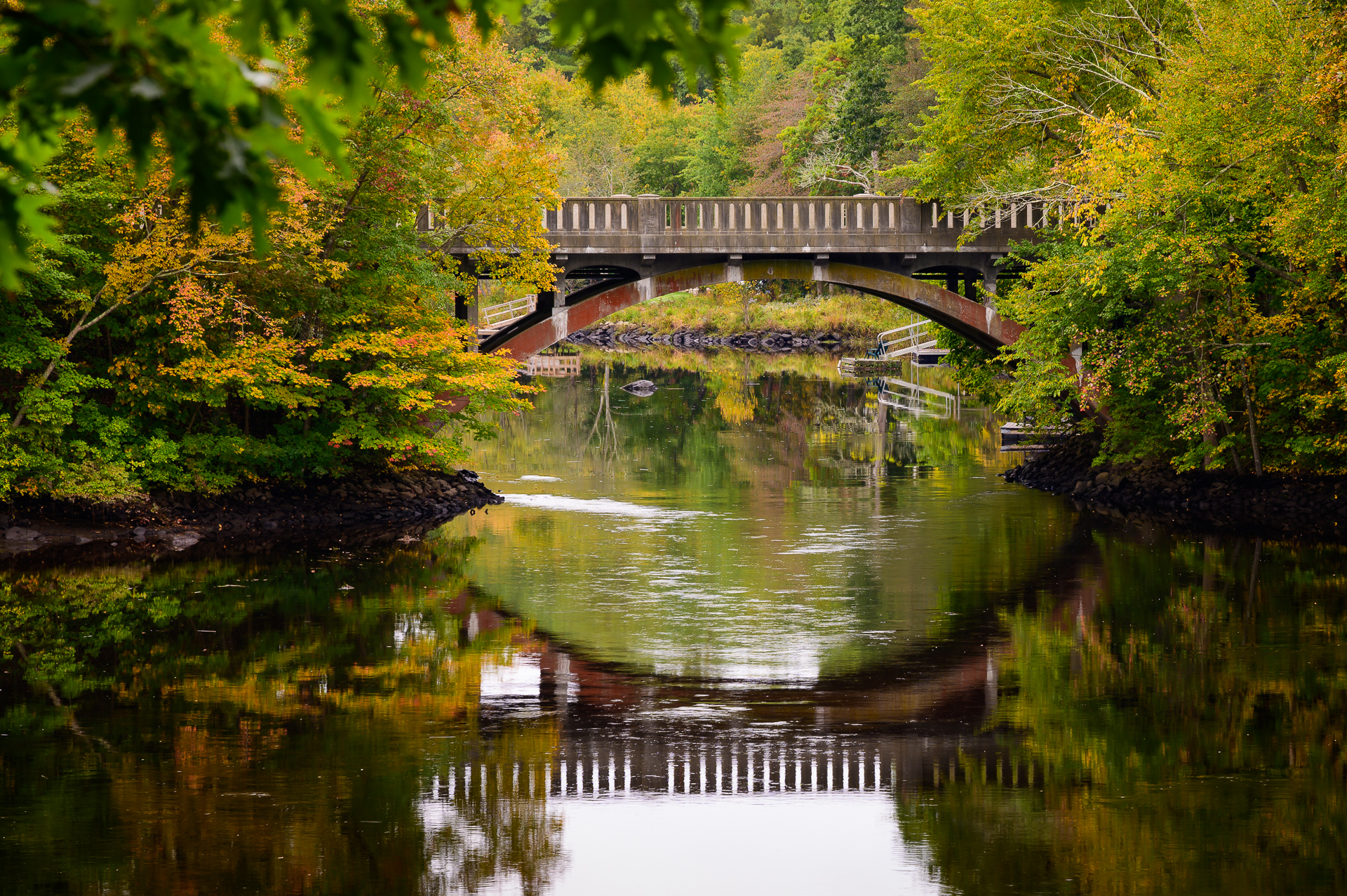 The Route 53 bridge in autumn.