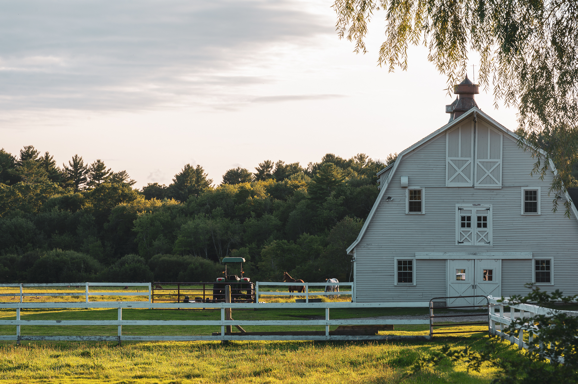 Two horses are seen grazing near a barn, capturing the essence of farm life in Pembroke, Massachusetts.