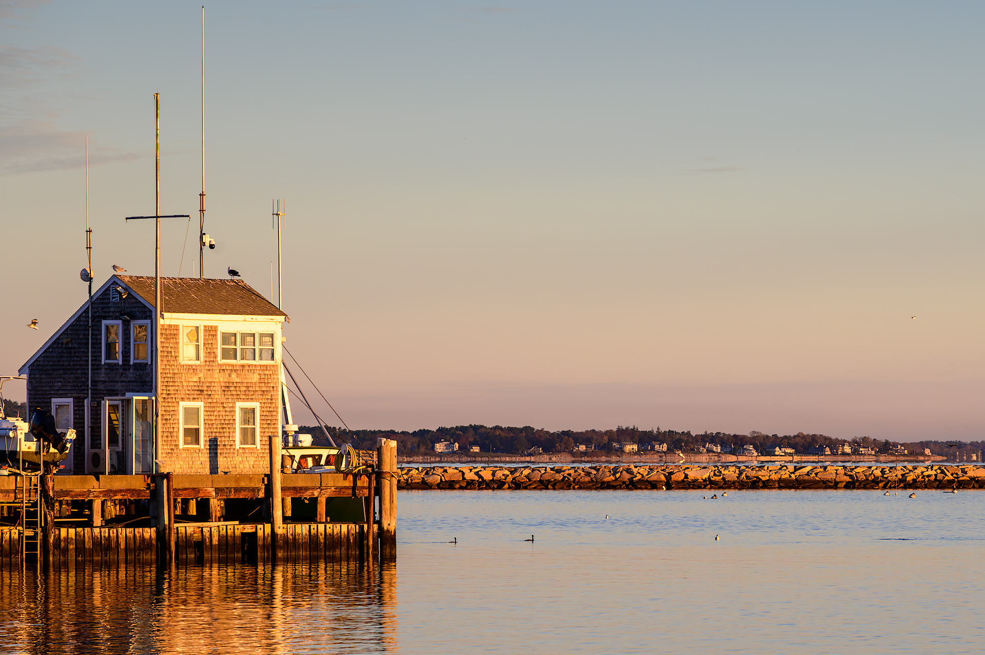 Golden Hour at the Harbor