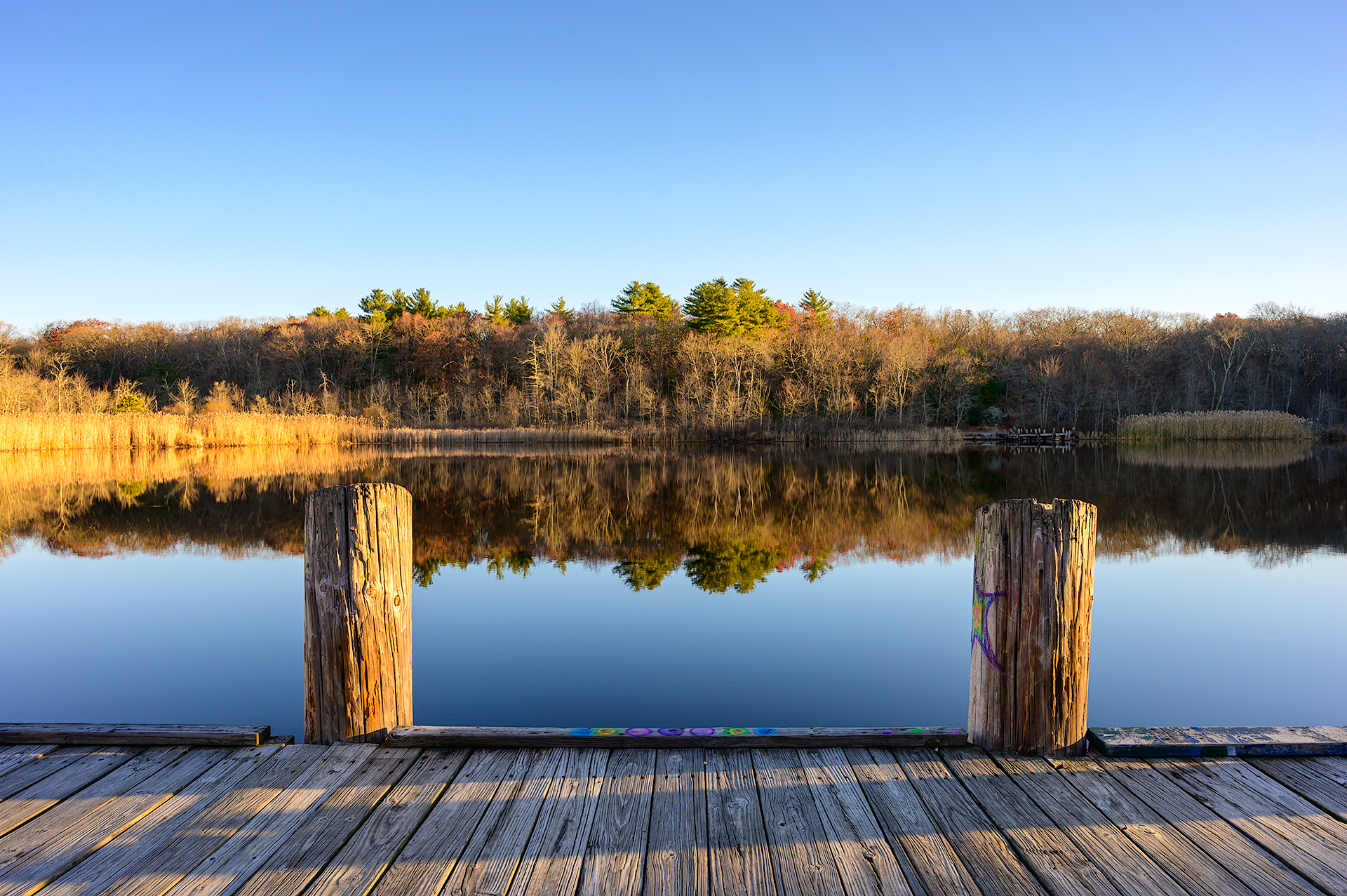 Turtle Pond