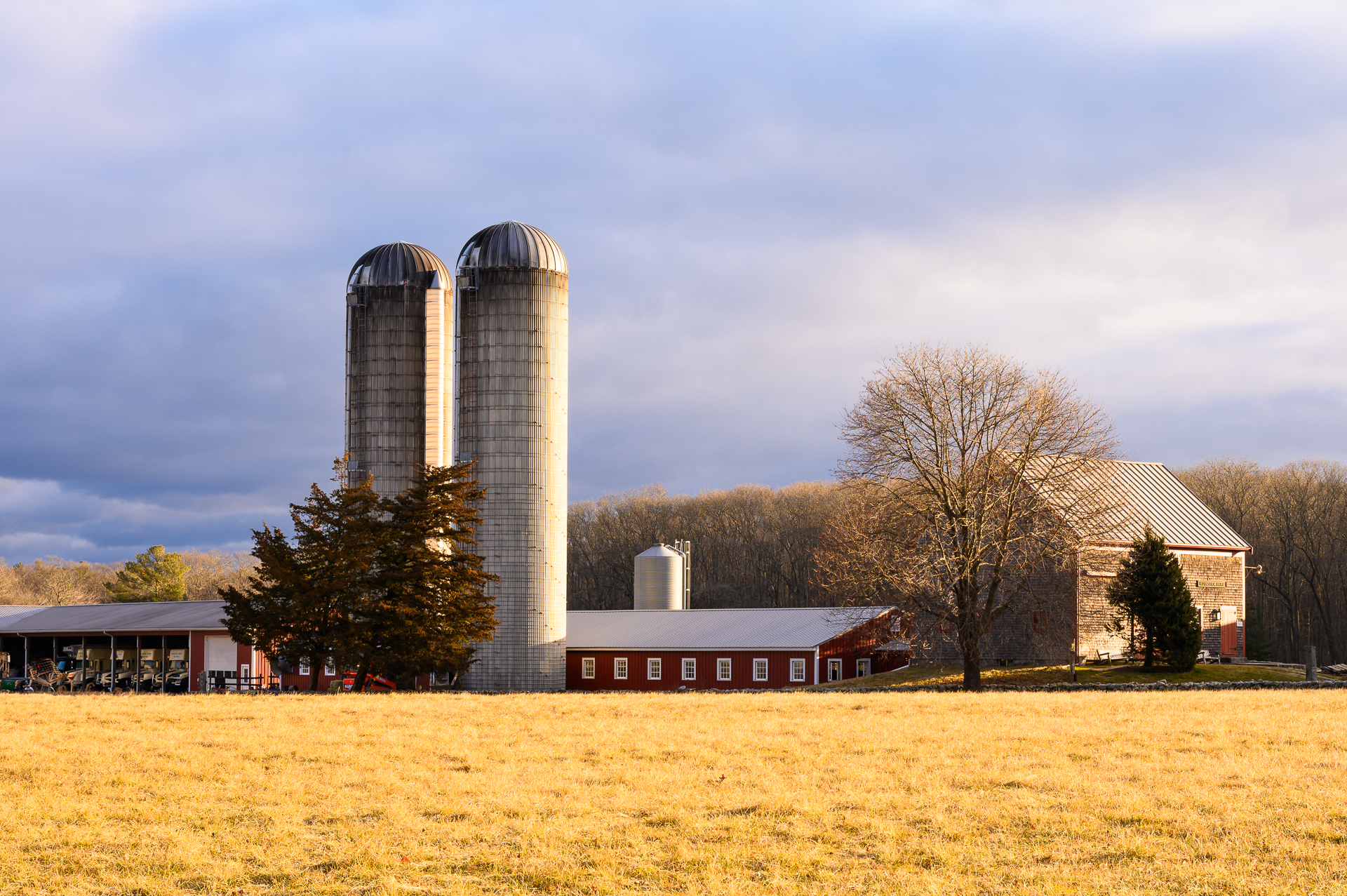 Golden Fields at Hornstra Farms