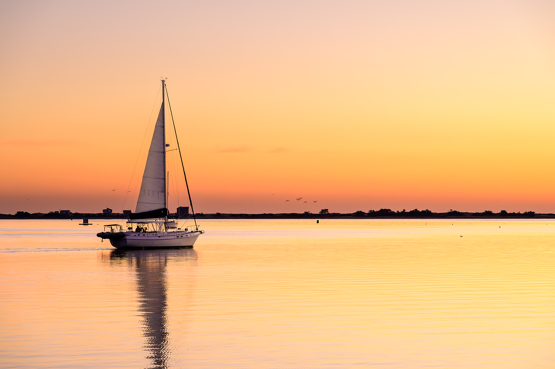 Sunrise Sail