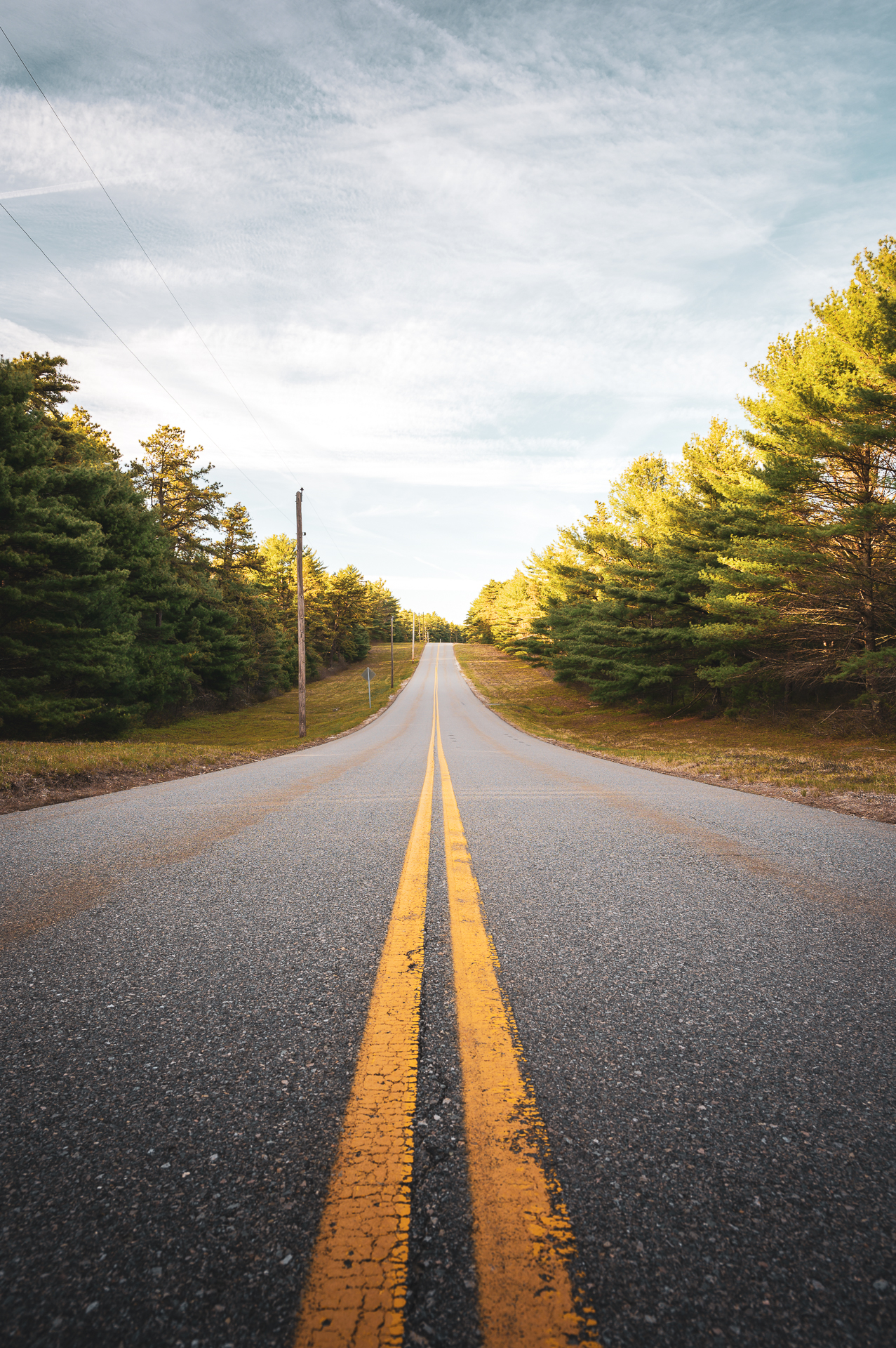 Yellow lines on Upper College Pond Road, flanked by rows of trees on both sides, at Myles Standish State Forest.