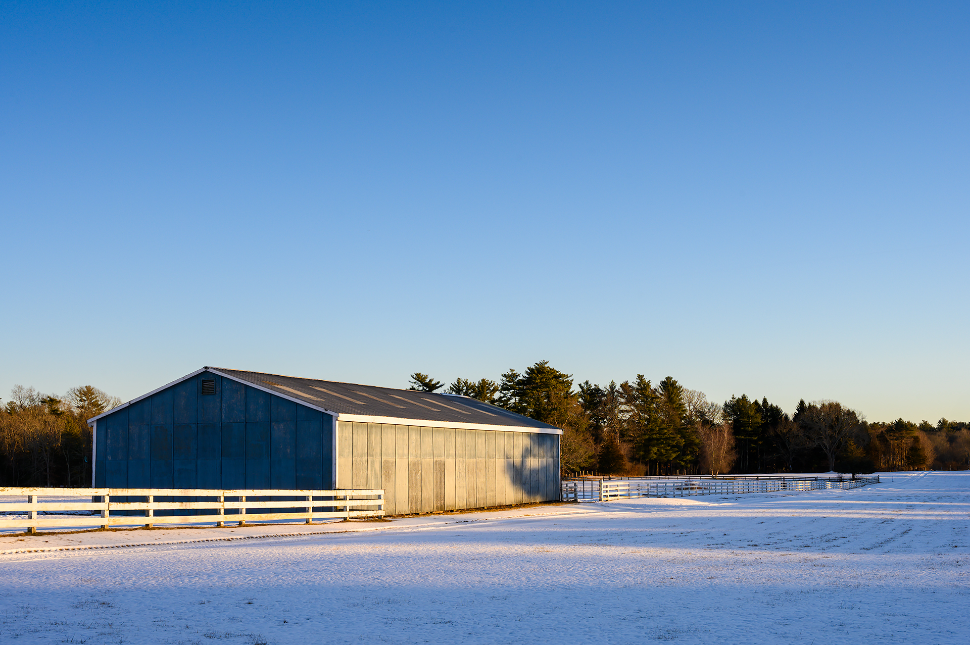 A Polled Hereford farm in Rockland, Massachusetts, in winter—its snow-covered fields and fence line stretching into the distance.