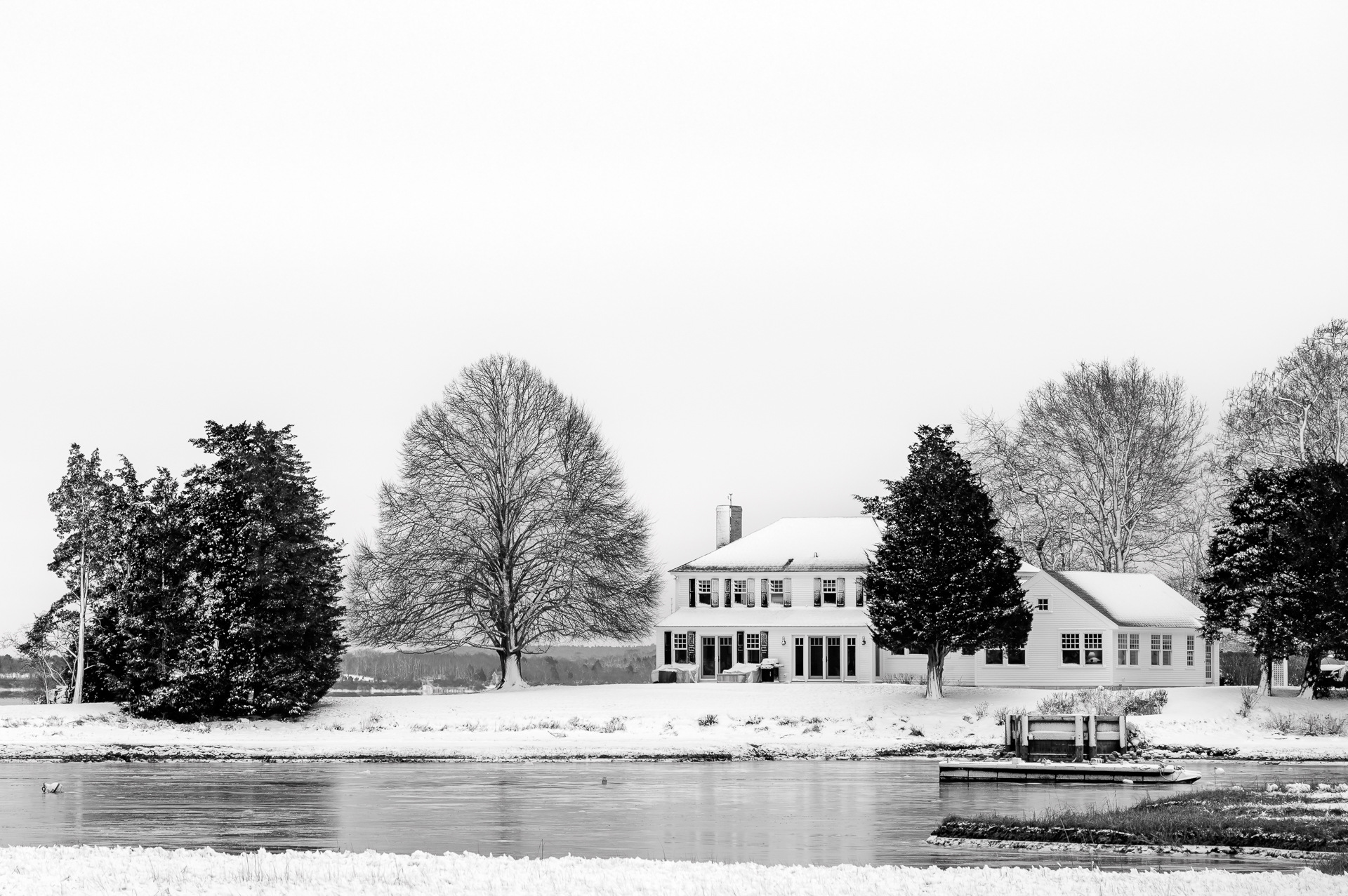 Winter Sentinel