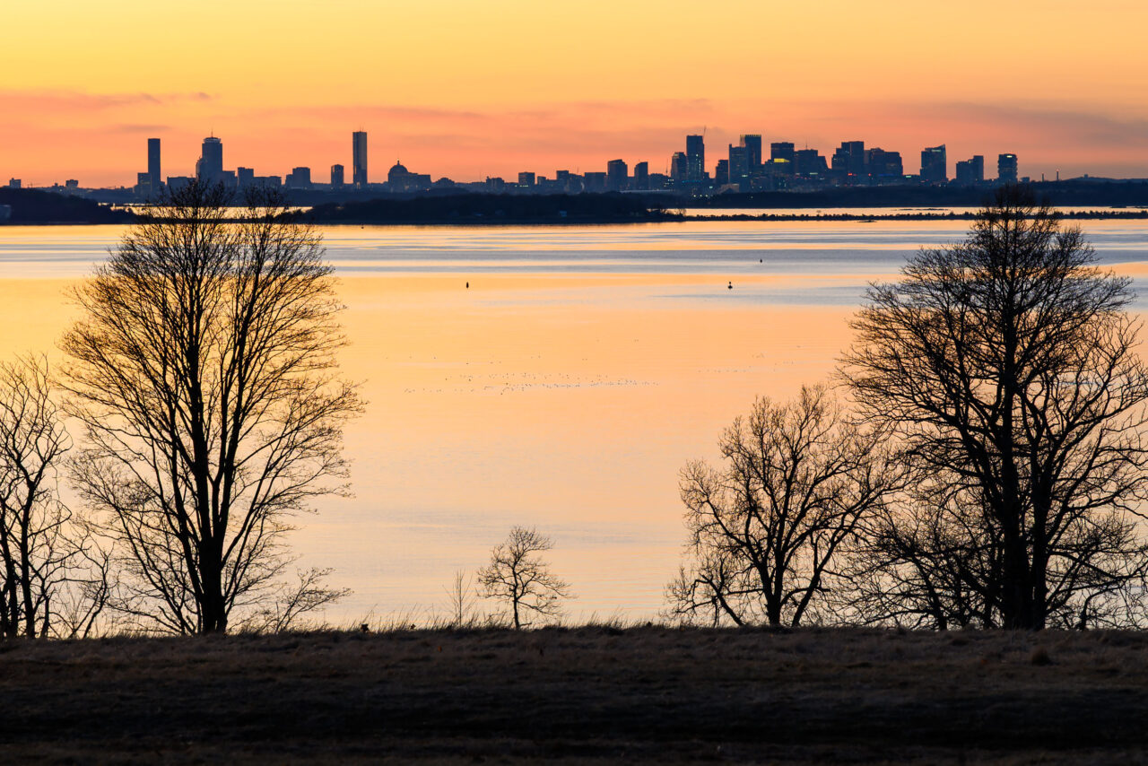 A friendly view of the distant Boston skyline framed by bare trees during a golden sunset at World's End in Hingham.