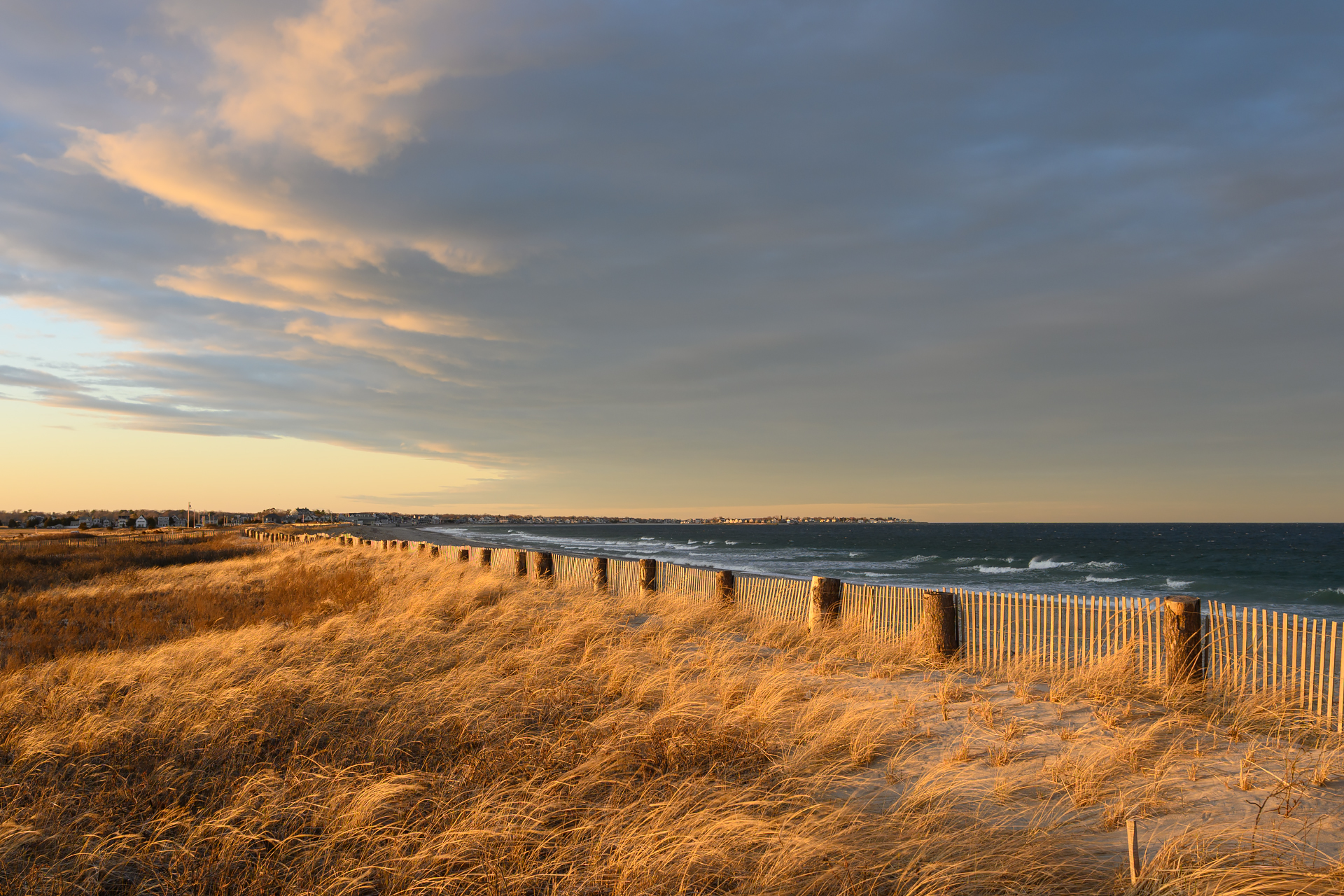 Windswept Beauty of Duxbury Beach