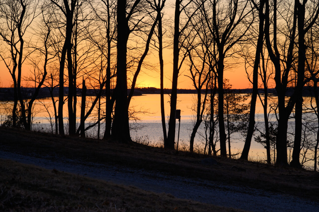 A quiet dirt path running alongside tree silhouettes framing a vibrant orange sunset during a sunset stroll through World’s End in Hingham.