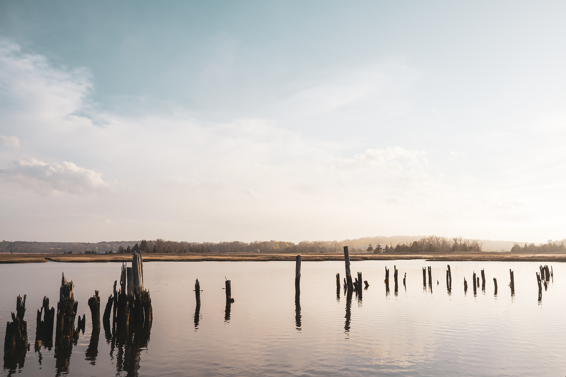 Tide and Timber