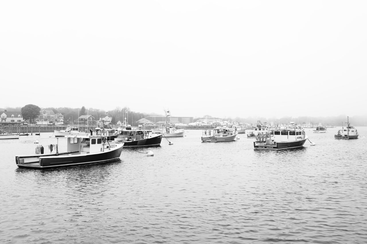 Commercial lobster boats moored at Marshfield Town Pier during high tide on a foggy afternoon.