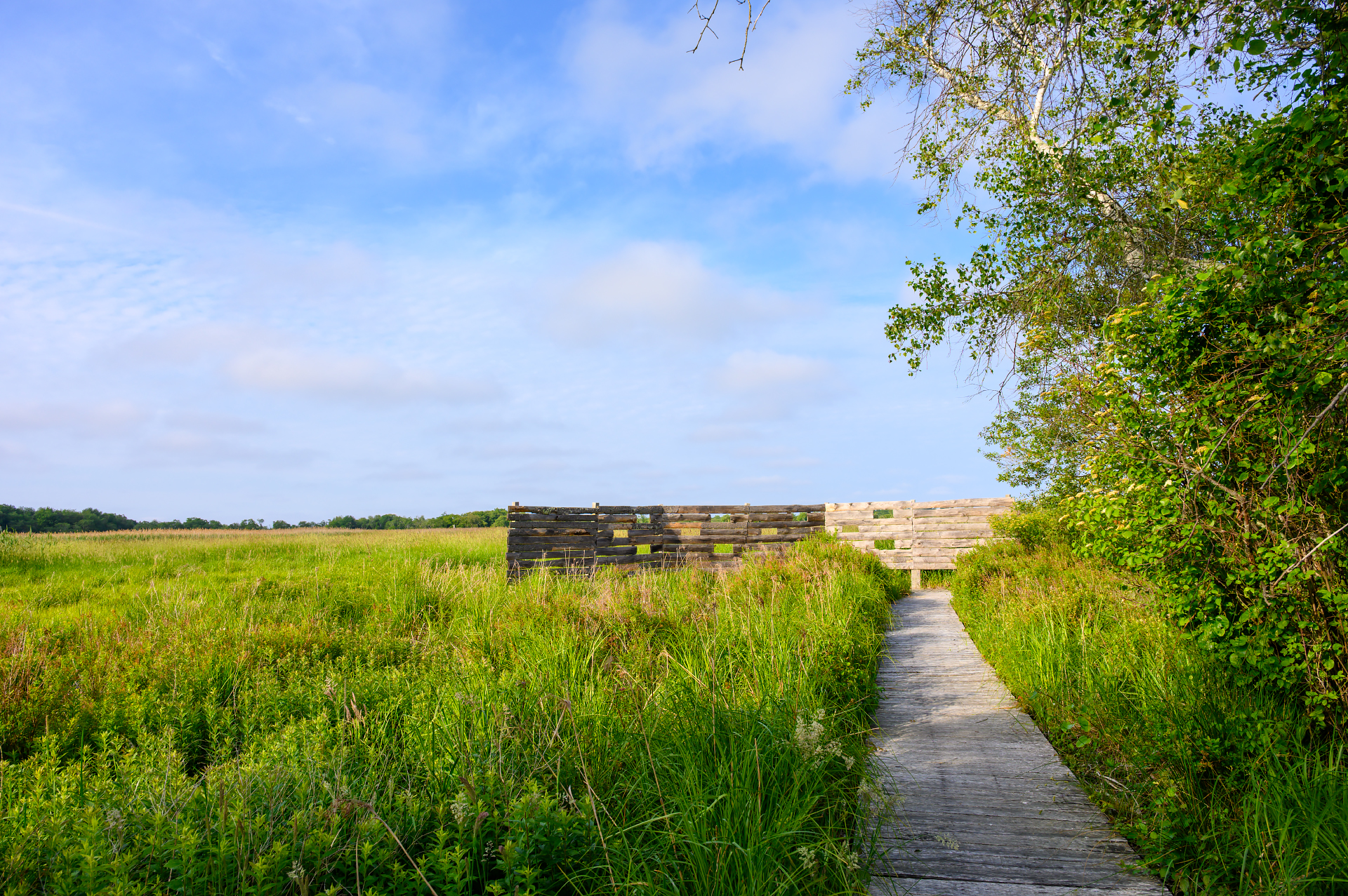 Late Spring at Daniel Webster Wildlife Sanctuary