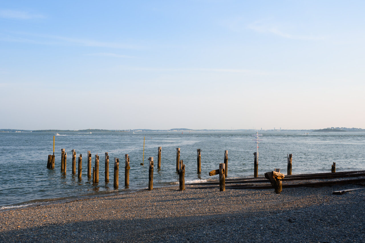 Old wooden pilings emerging from the calm water at Pemberton Point, Hull, Massachusetts.