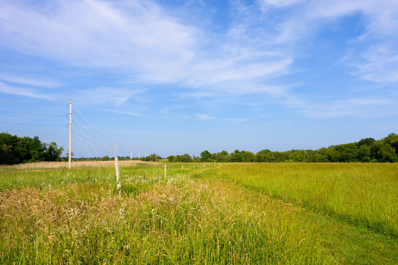 The lush spring landscape at Daniel Webster Wildlife Sanctuary in Marshfield, Massachusetts.