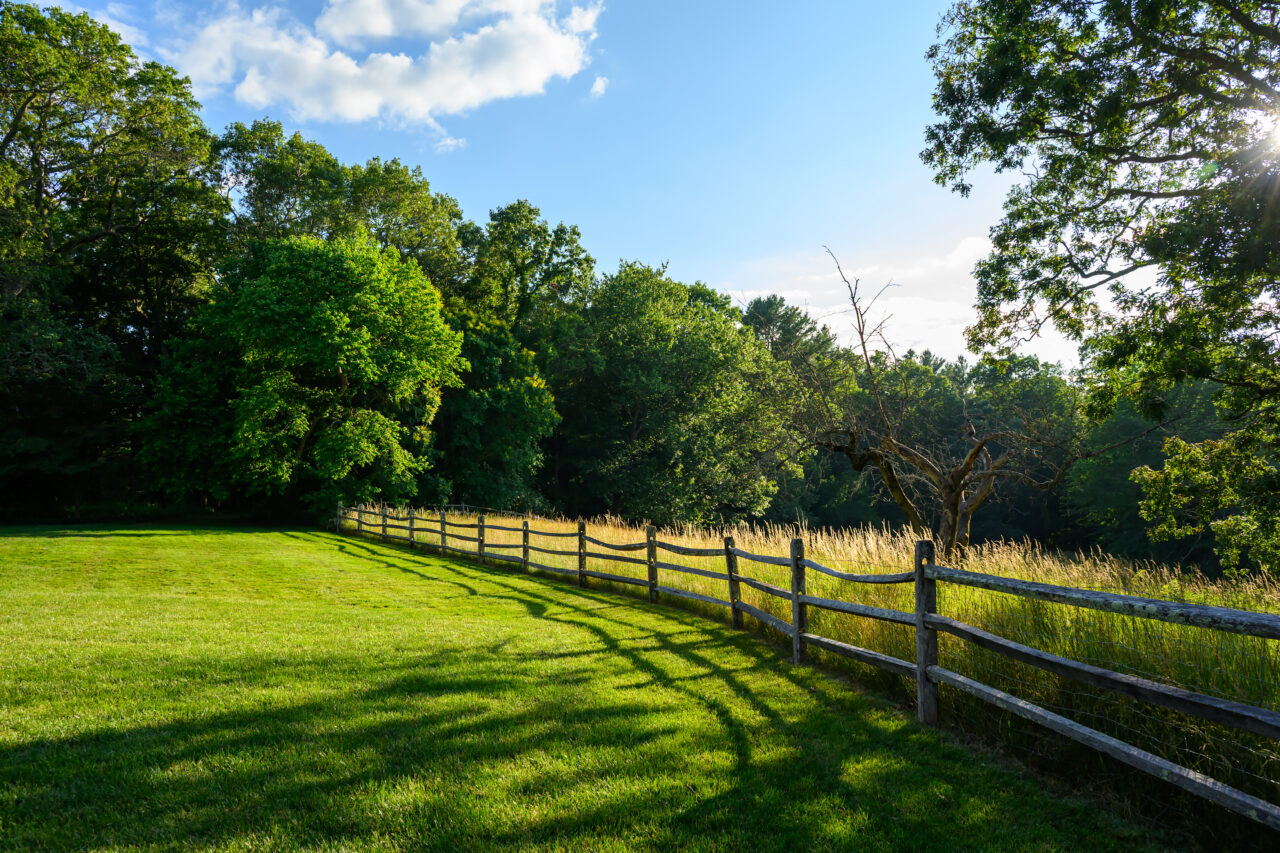 A wooden split-rail fence stretches across a green lawn and into a sunlit field of tall grasses at The Bradley Estate in Canton, MA.