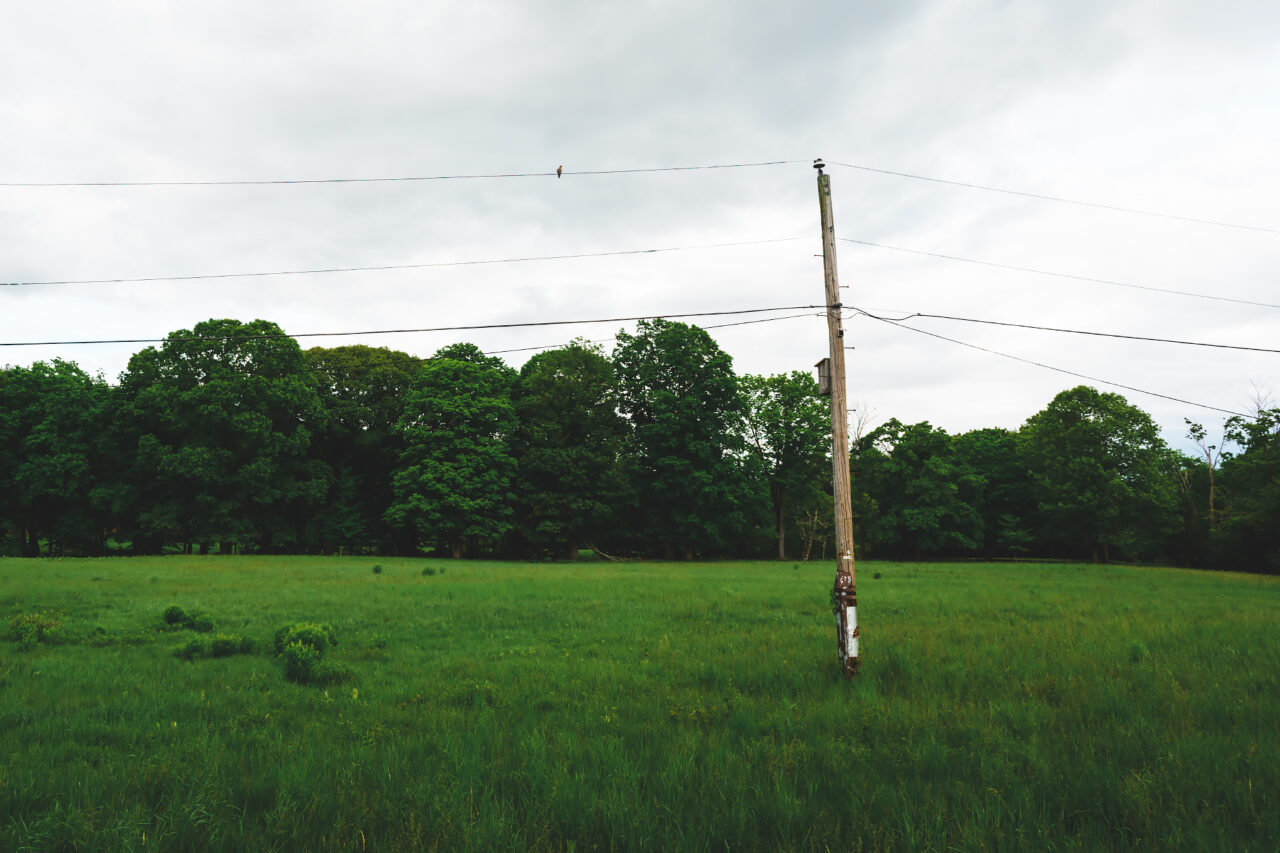 A solitary wooden power pole stands in a vast green rural field under an overcast sky, with multiple power lines extending across the frame towards a dense line of trees in the background.