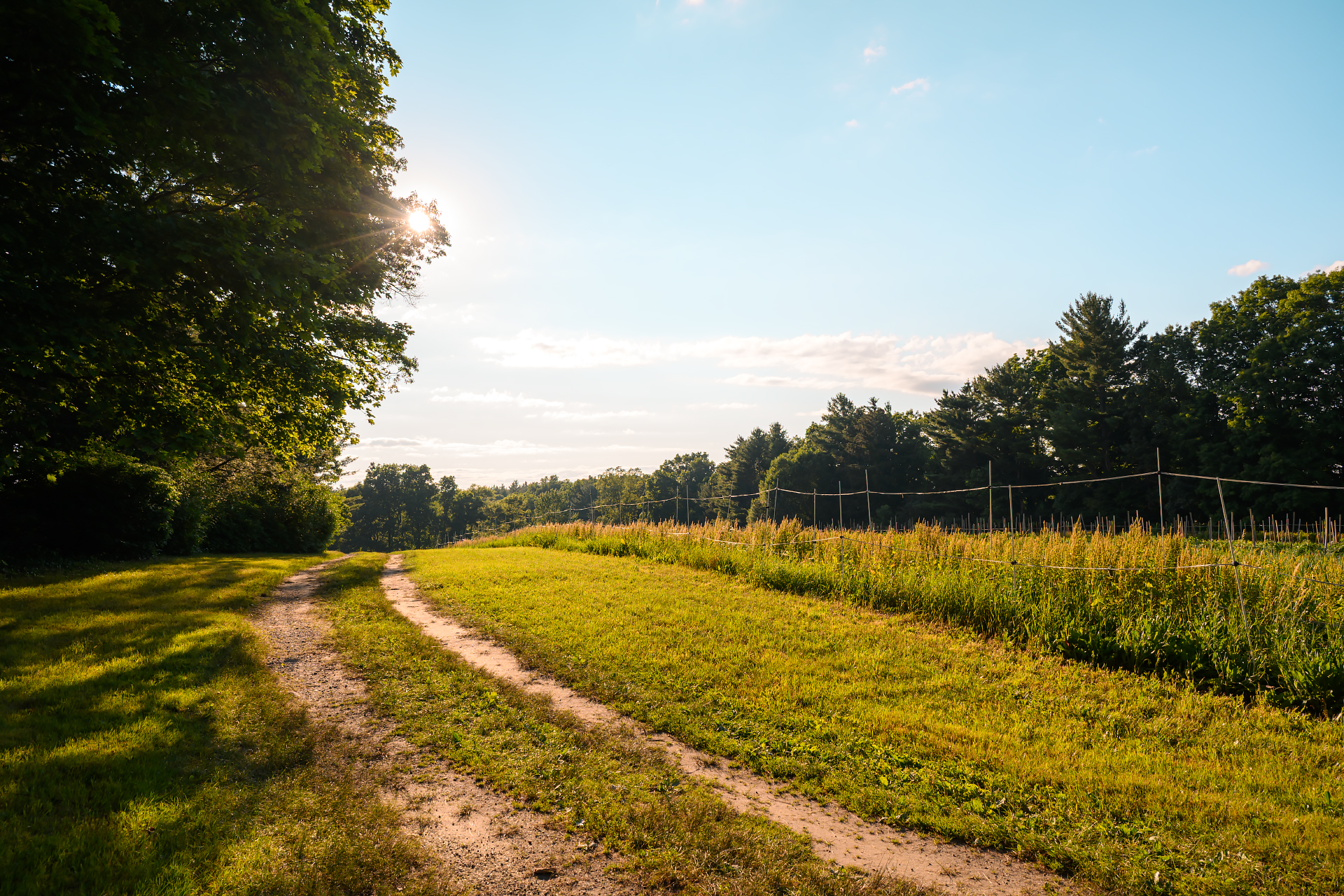 Harvest Lane