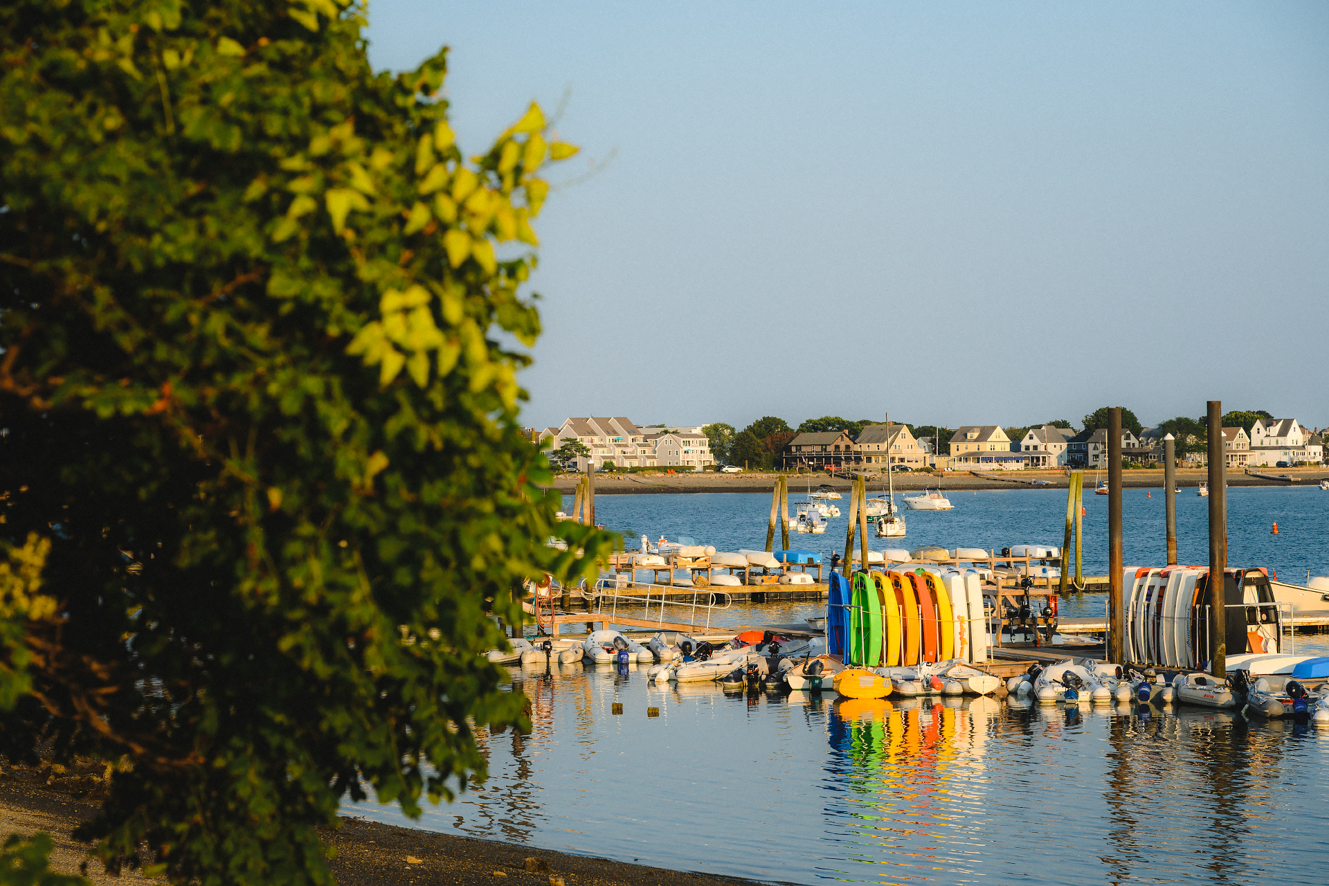 Dockside Palette