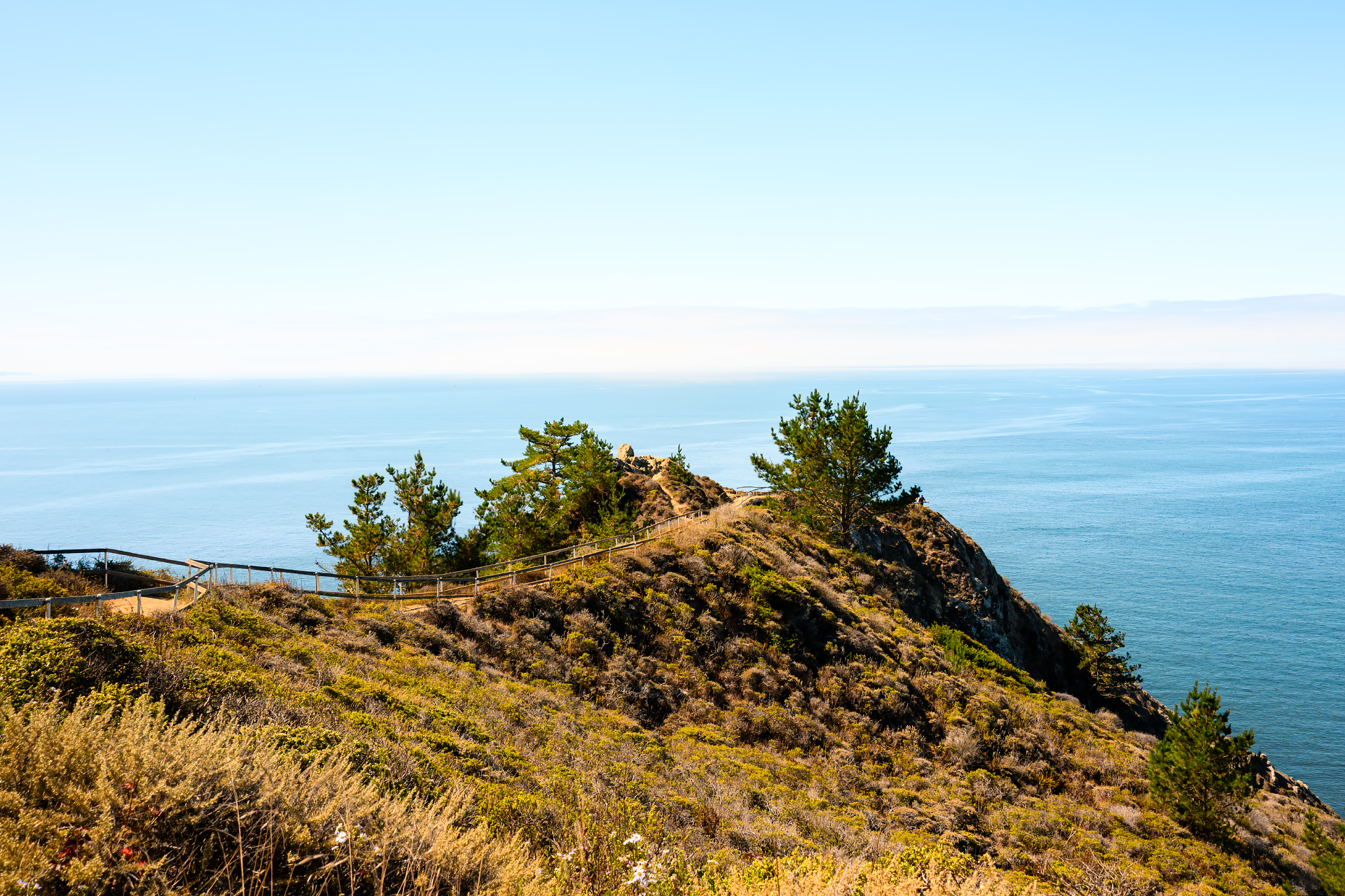 A Stop at Muir Woods Overlook