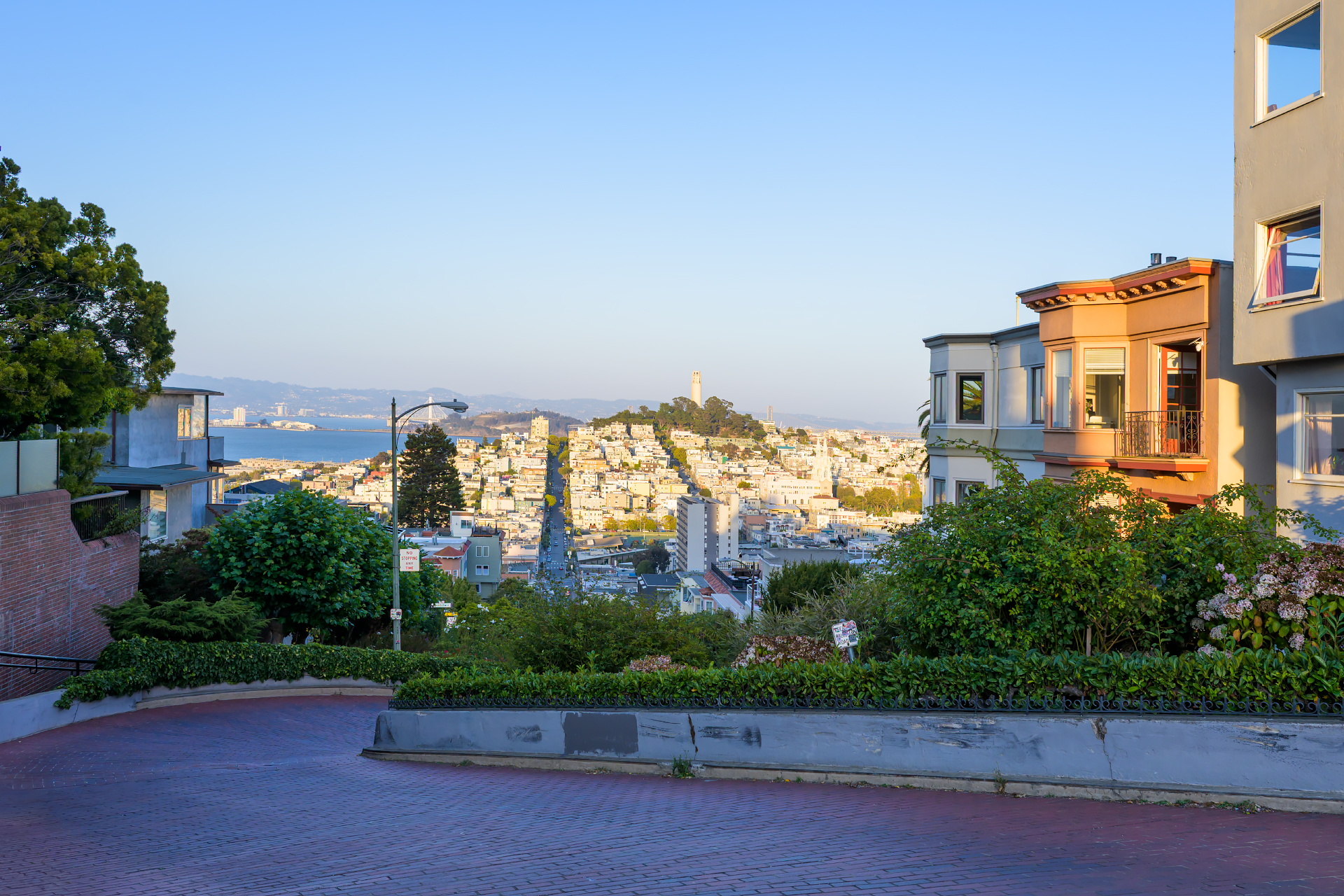 San Francisco Curves