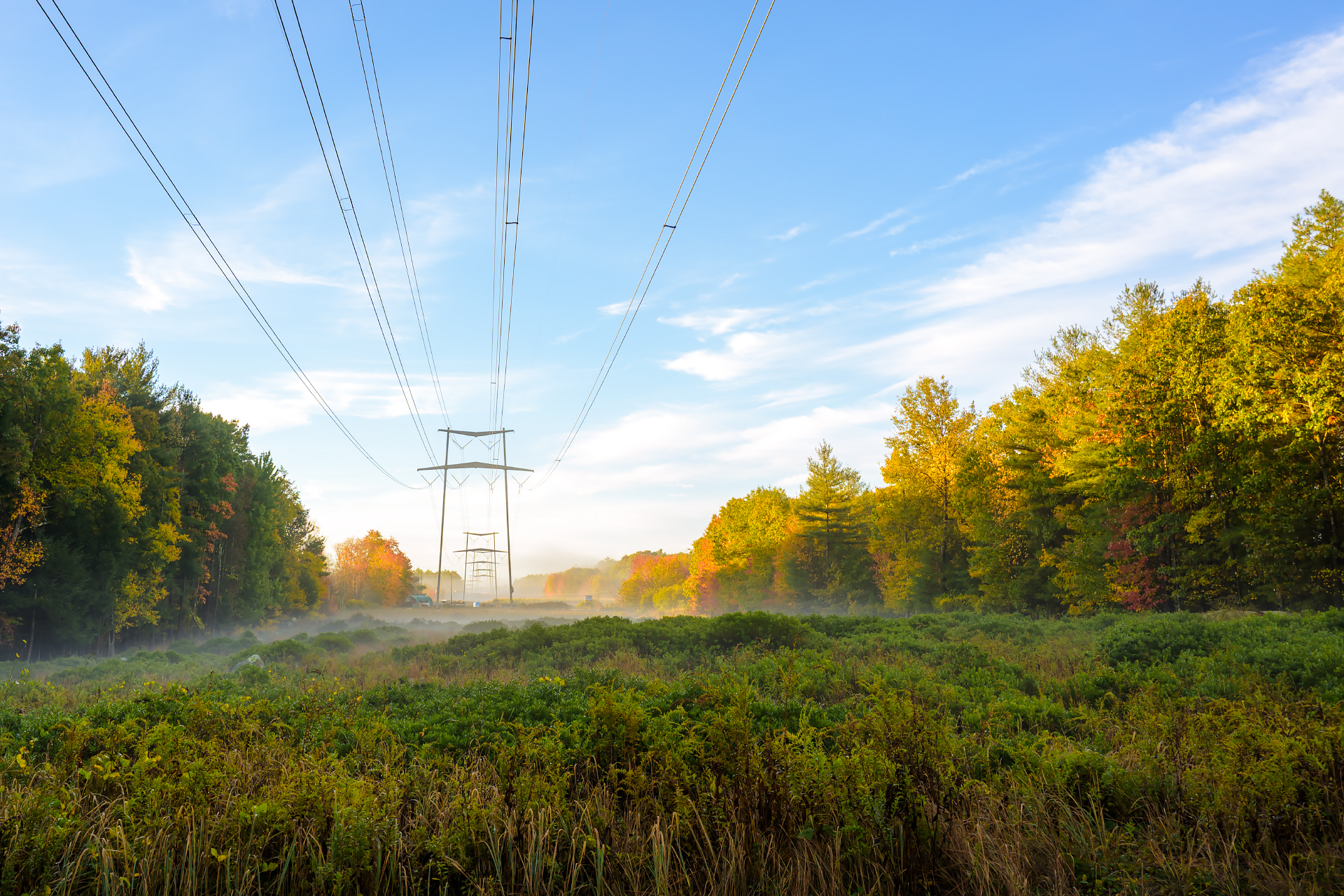 Wired Autumn