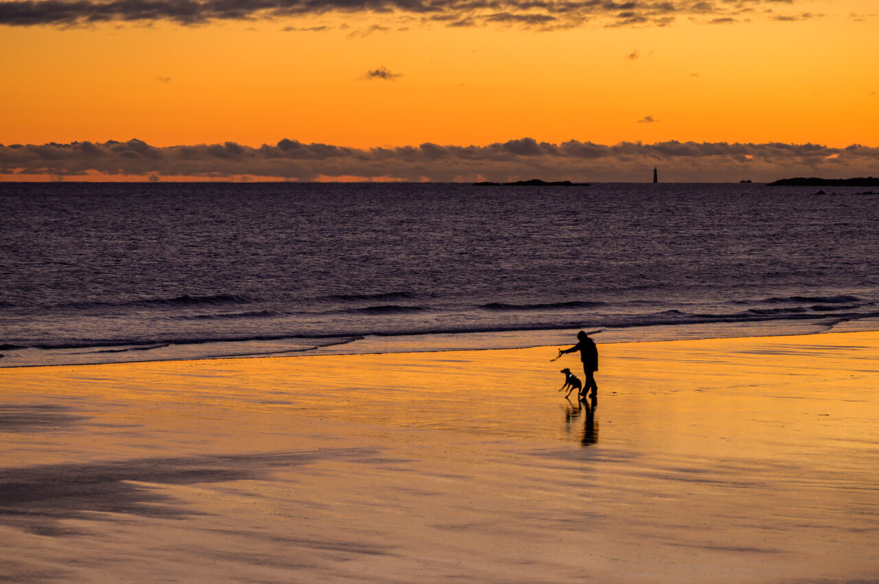 A man and his dog enjoying the warm, colorful light of dawn at Nantasket Beach.
