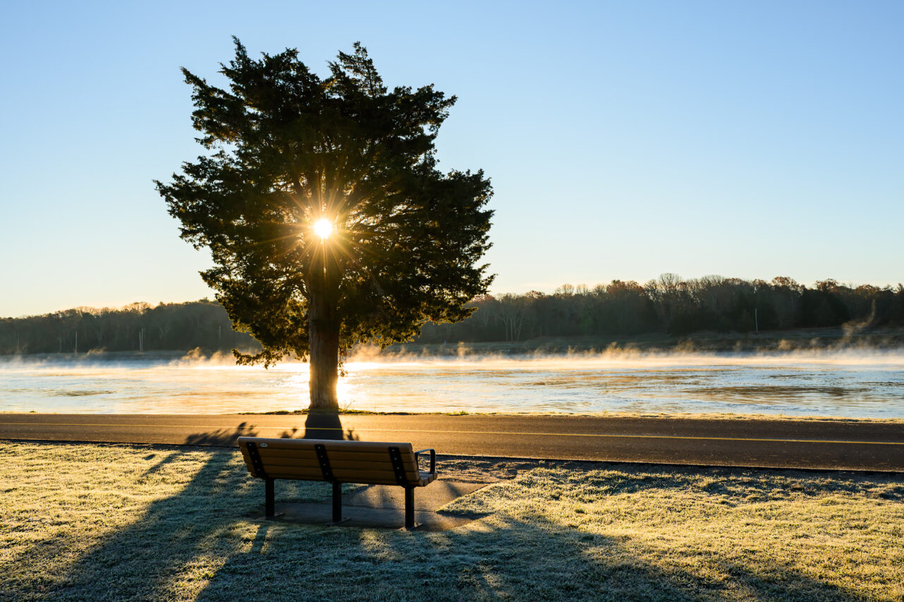 The sun shines brilliantly through the branches of a tree overlooking the misty canal path, creating a starburst effect. This tranquil spot is perfect for watching the Sunrise Cape Cod Canal Railroad Bridge.