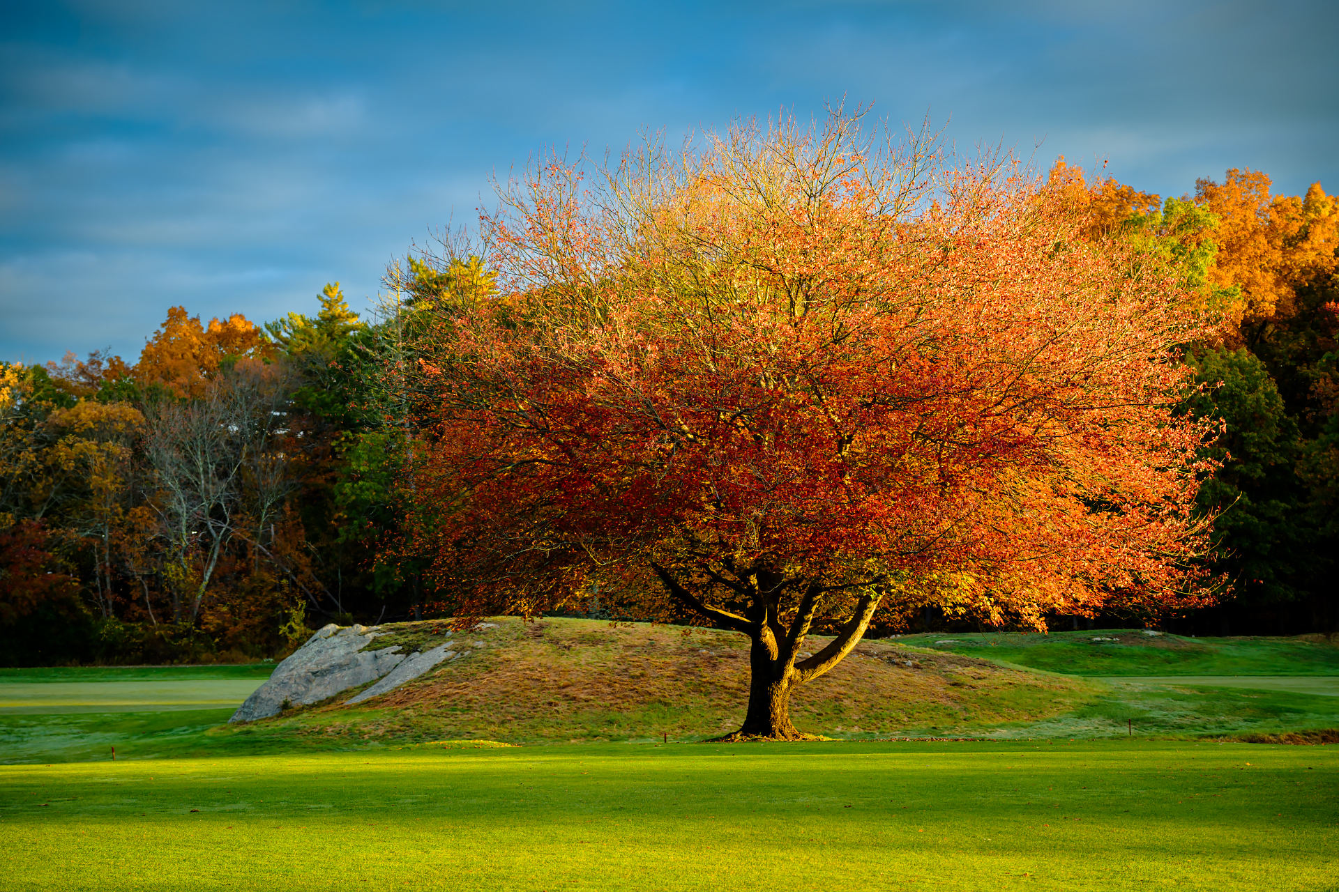 From Today — November 6