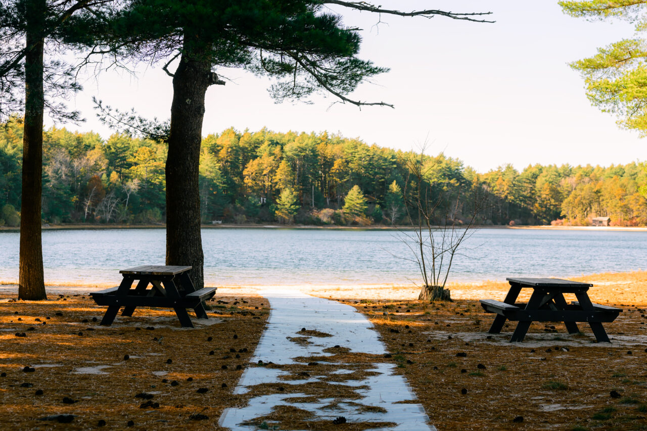 A path leading to Fearing Pond at Myles Standish State Park.