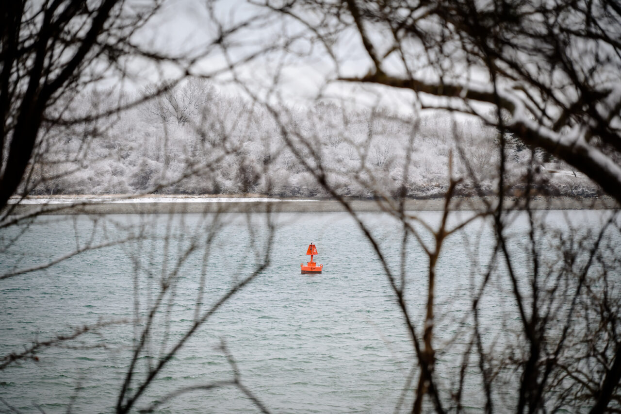 A bright red channel buoy bobbing in the water off Webb Memorial, viewed through a natural window of dark, snowy tree limbs.