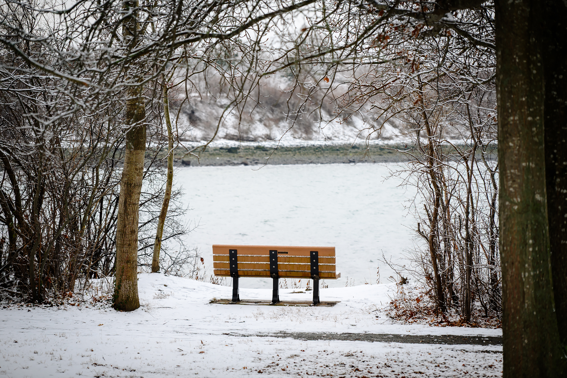 A Snowy Afternoon at Webb Memorial