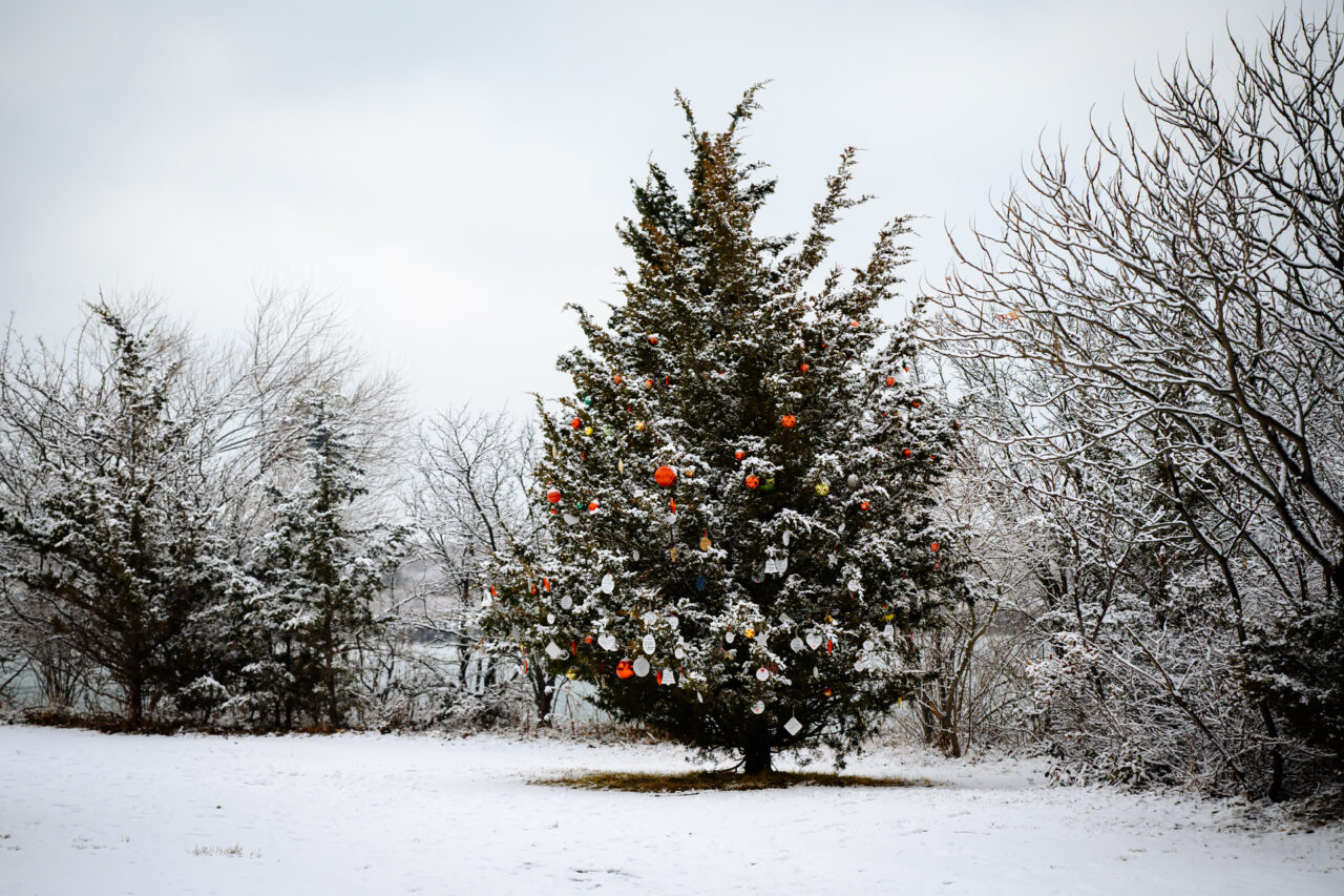 A festive cedar tree at Webb Memorial decorated with colorful ornaments and white keepsake tags that stand out against the fresh snow.