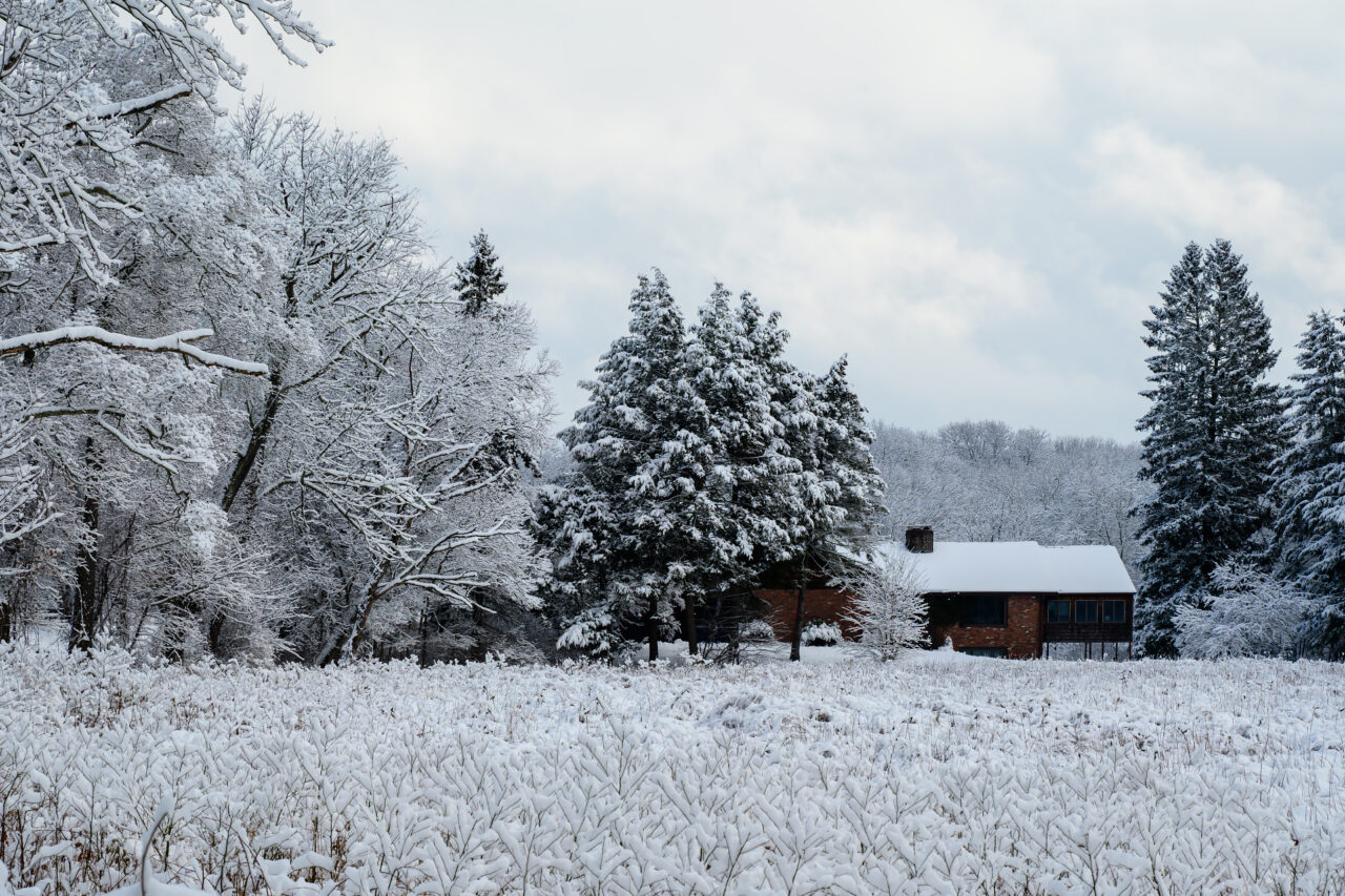 A cozy brick house sits behind snow-laden evergreens during the January 19, 2026 snowstorm.