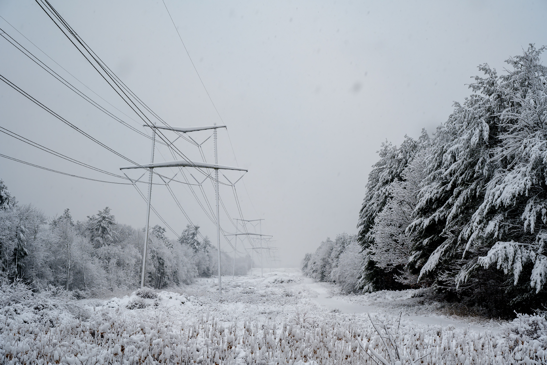 Along the Way – January 19, 2026