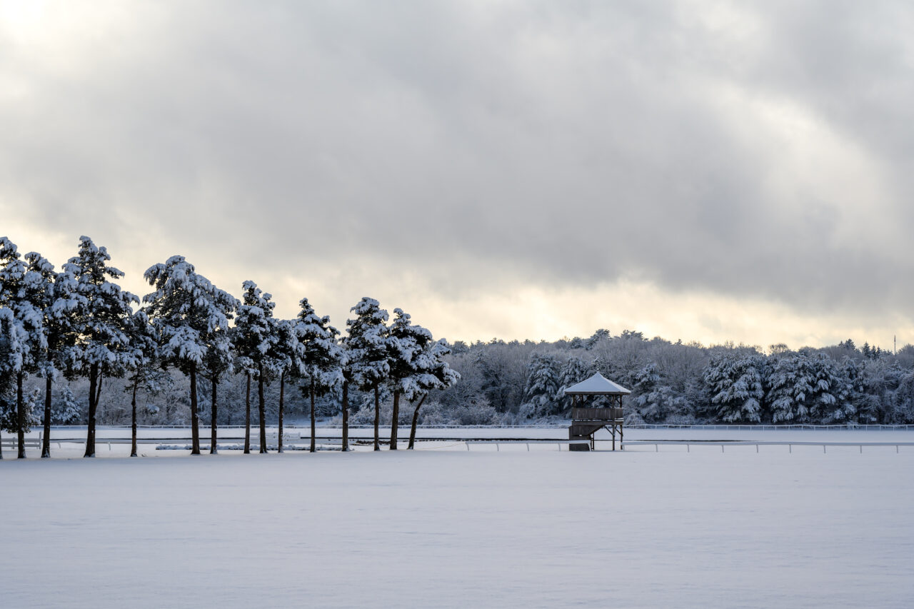 A small wooden gazebo rises from a snow-covered field, blanketed by the aftermath of the January 19, 2026 snowstorm.