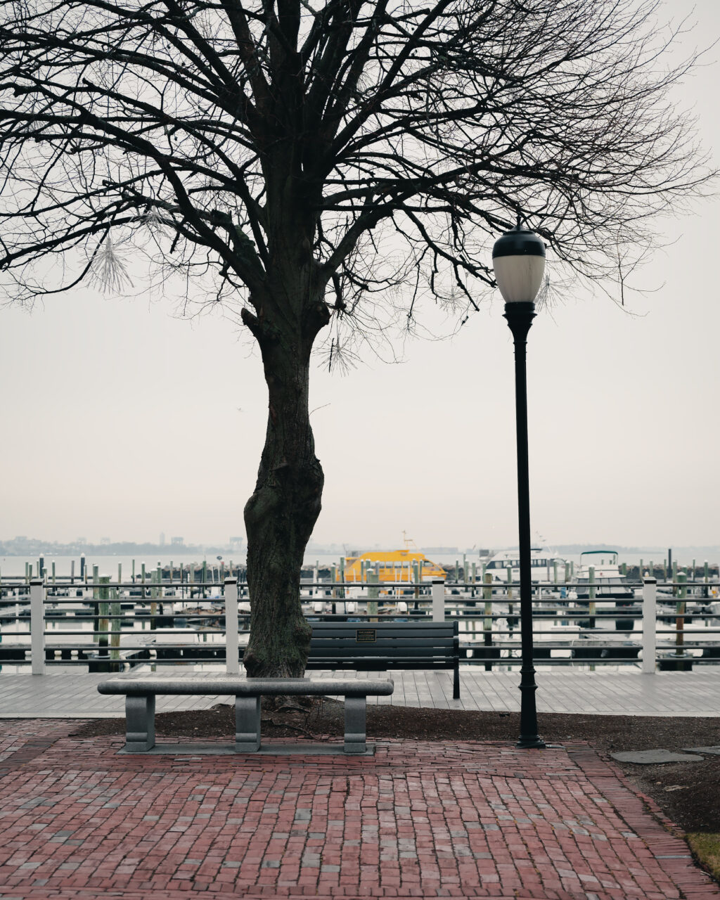 A peaceful scene on the Marina Bay boardwalk in Quincy showing a lone stone bench and a lamppost tucked under bare winter branches.